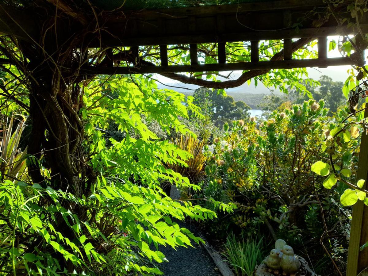 Hillside Bed And Breakfast Huonville Esterno foto