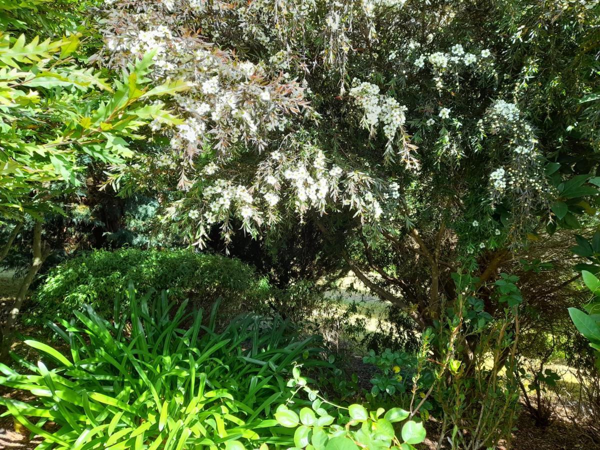 Hillside Bed And Breakfast Huonville Esterno foto