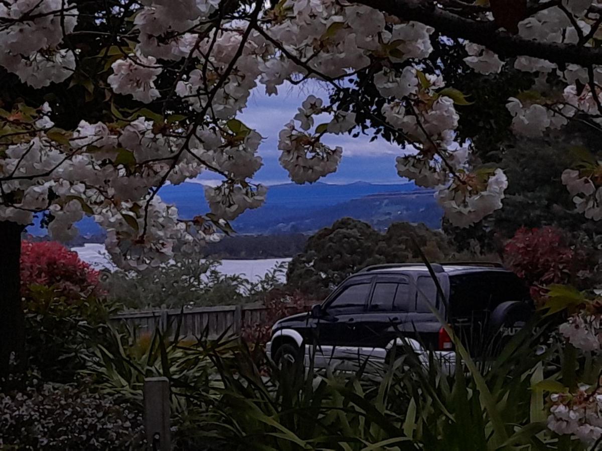 Hillside Bed And Breakfast Huonville Esterno foto