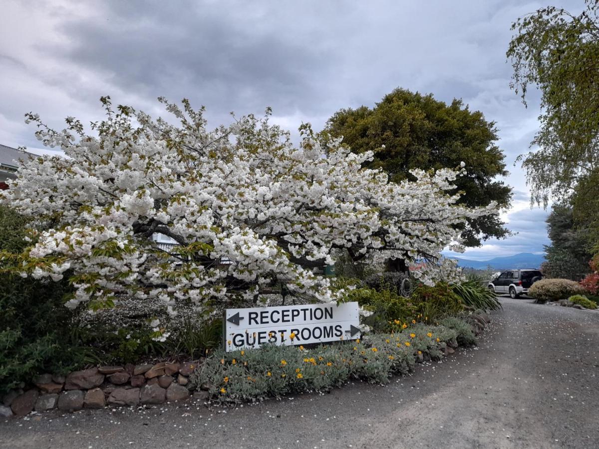 Hillside Bed And Breakfast Huonville Esterno foto