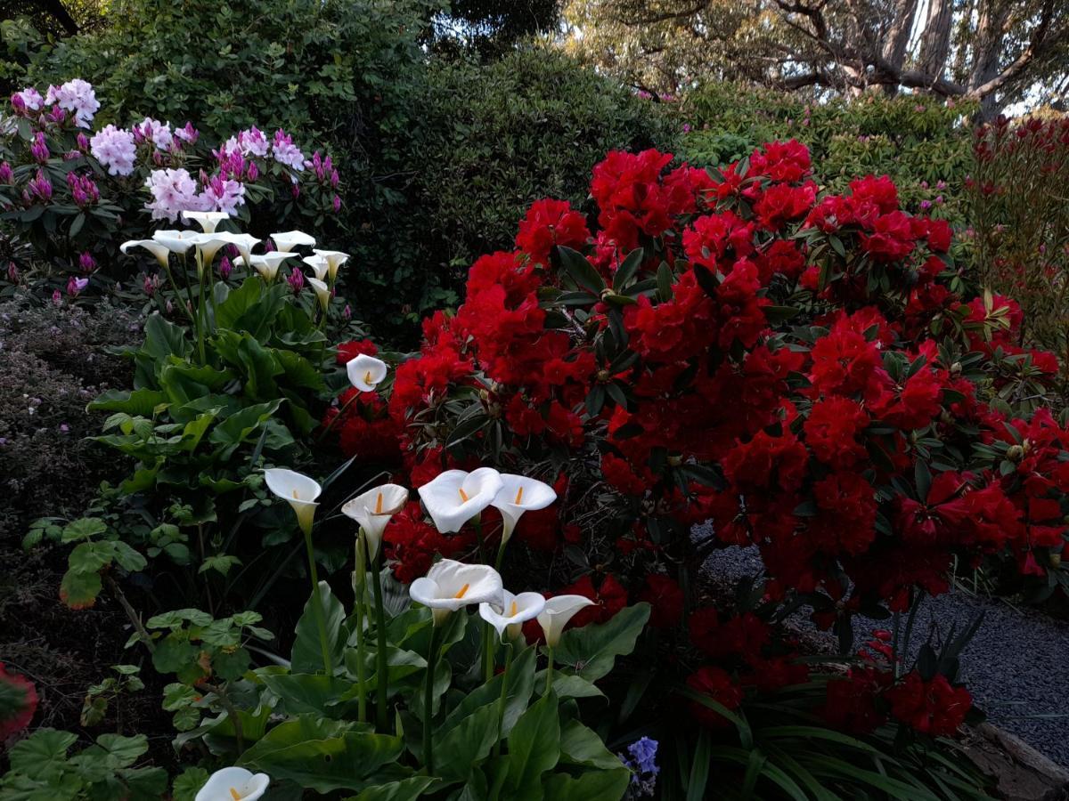 Hillside Bed And Breakfast Huonville Esterno foto