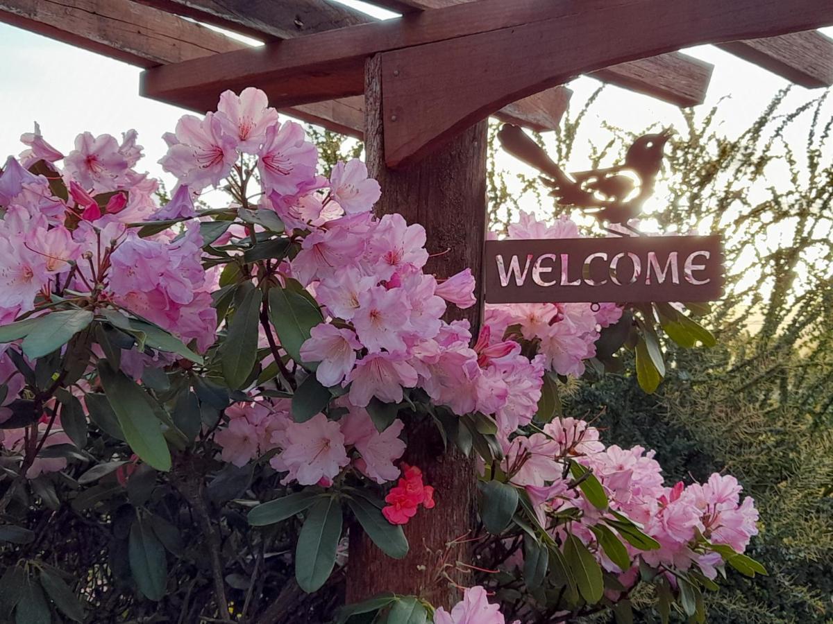Hillside Bed And Breakfast Huonville Esterno foto