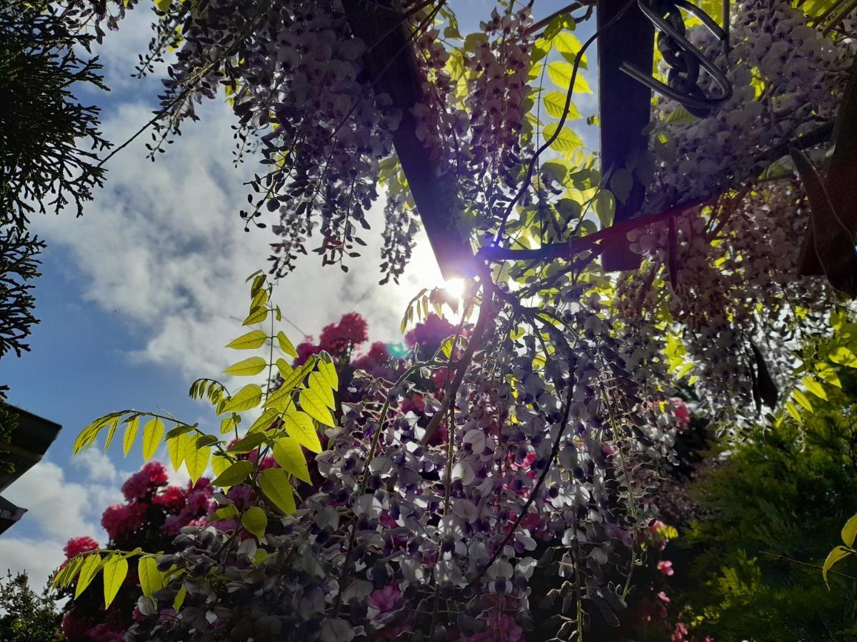 Hillside Bed And Breakfast Huonville Esterno foto
