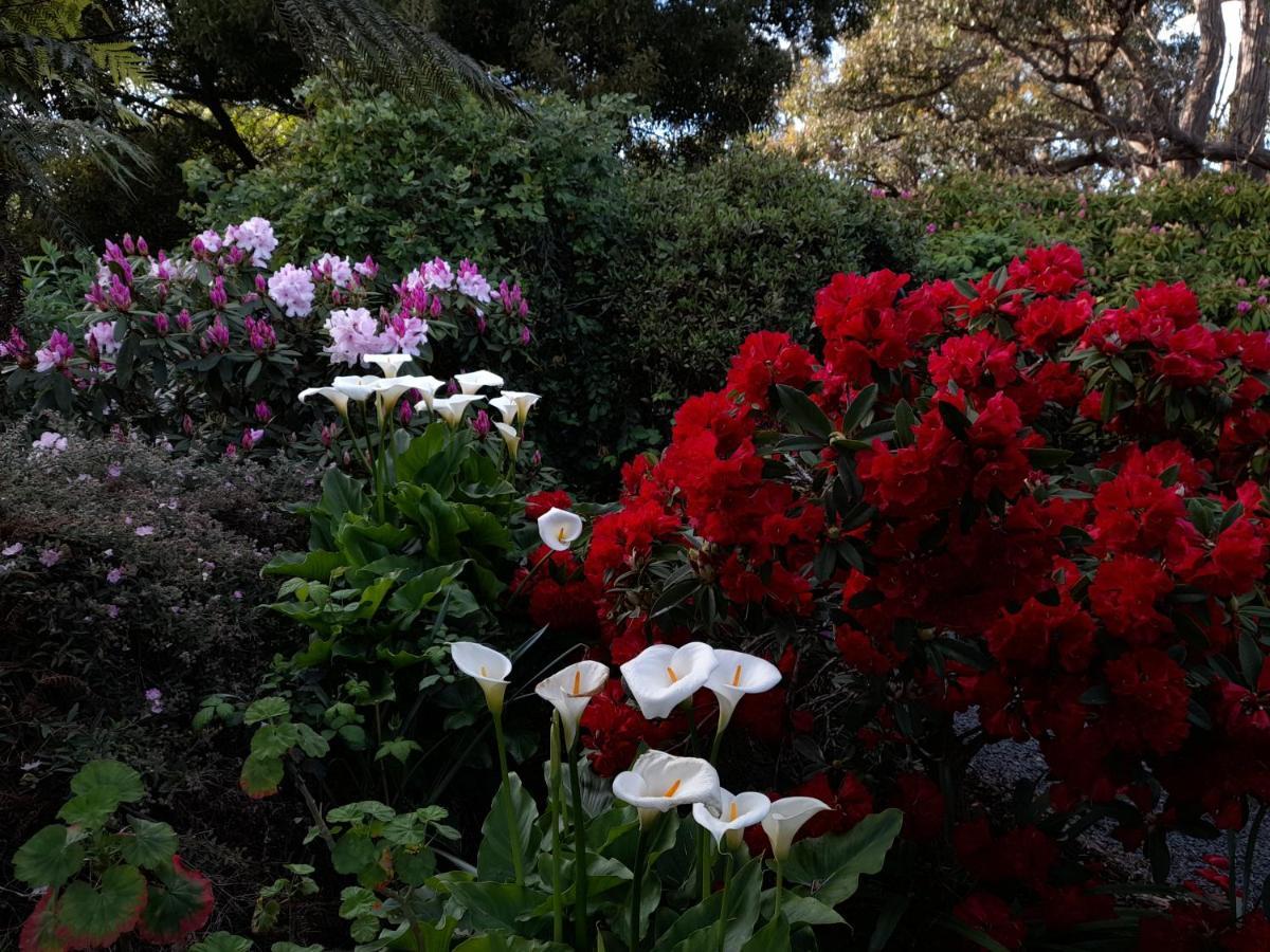 Hillside Bed And Breakfast Huonville Esterno foto