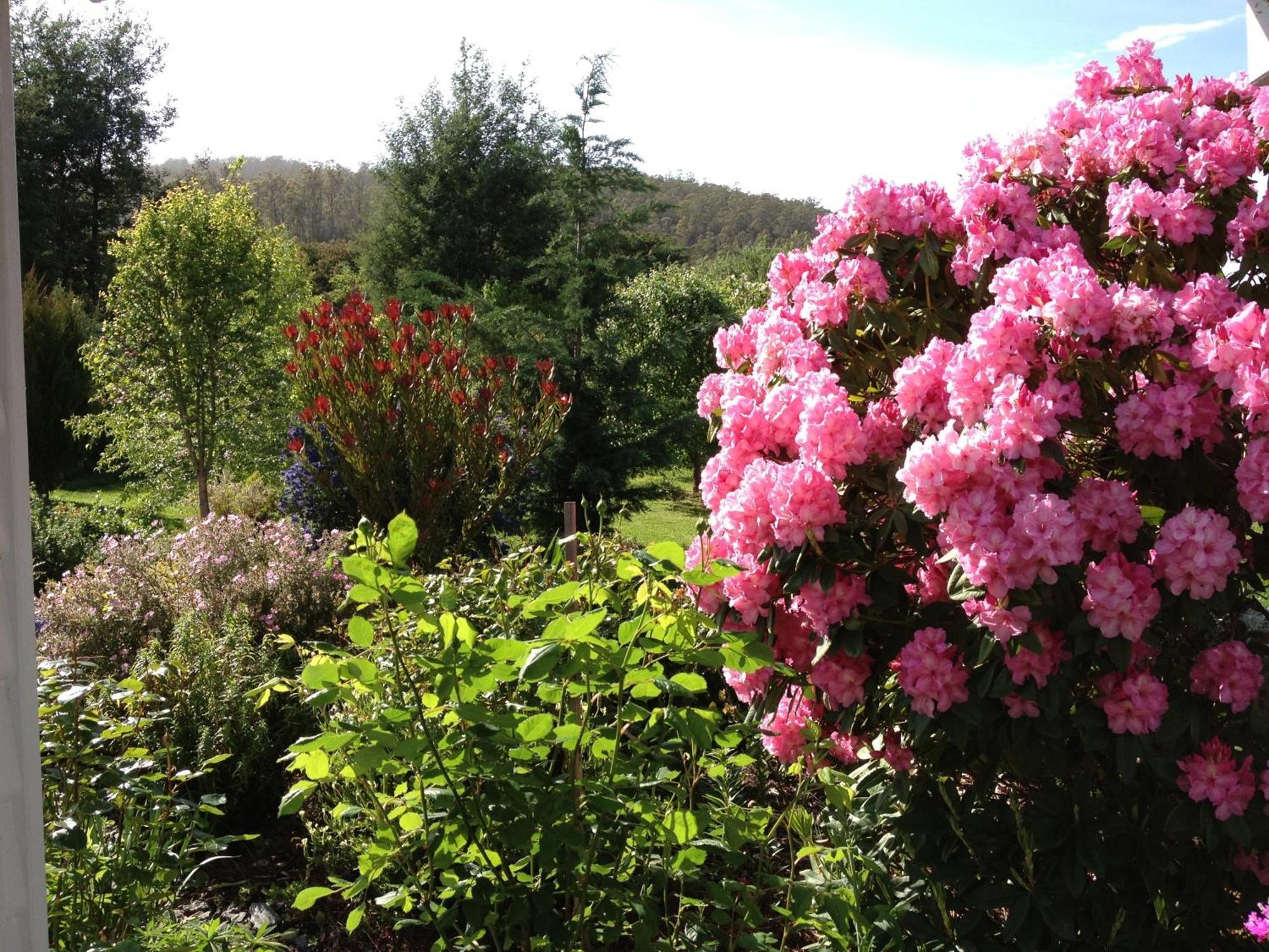 Hillside Bed And Breakfast Huonville Esterno foto