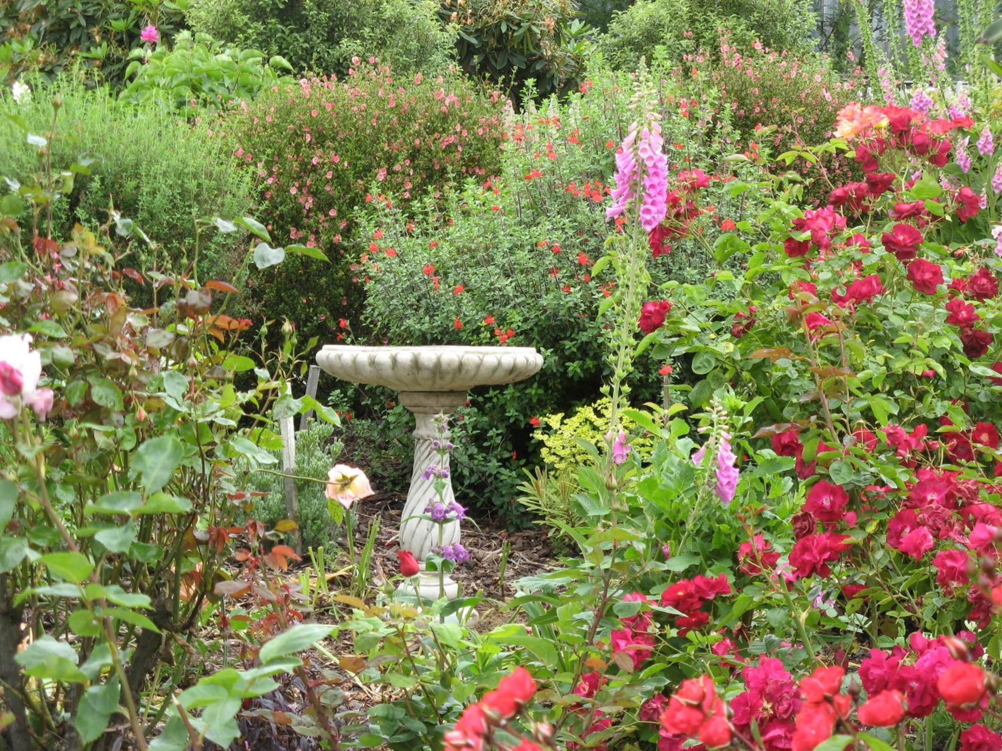 Hillside Bed And Breakfast Huonville Esterno foto